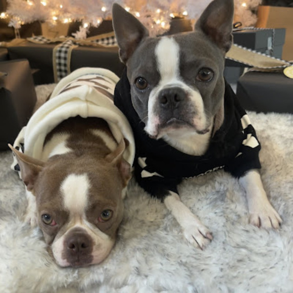 Meet your Posher, Mikaela - Picture 1 of 1